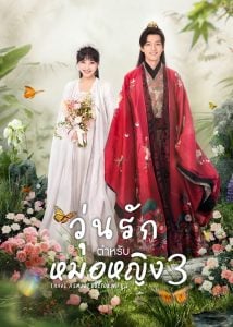 ดูซีรี่ย์ออนไลน์ I Have a Smart Doctor Wife Season 3 (2023) วุ่นรักตำรับหมอหญิง ภาค 3