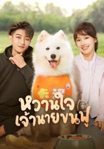 ดูซีรี่ย์ออนไลน์ My Precious (2023) หวานใจเจ้านายขนฟู